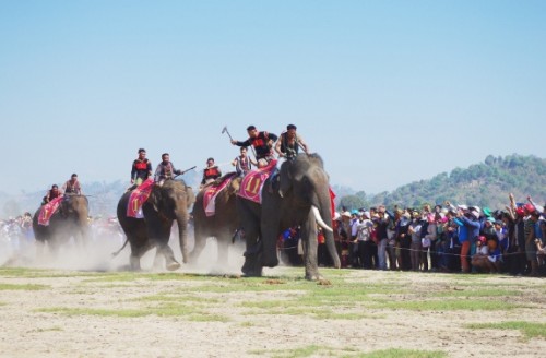 Hào hứng với Lễ hội đua voi