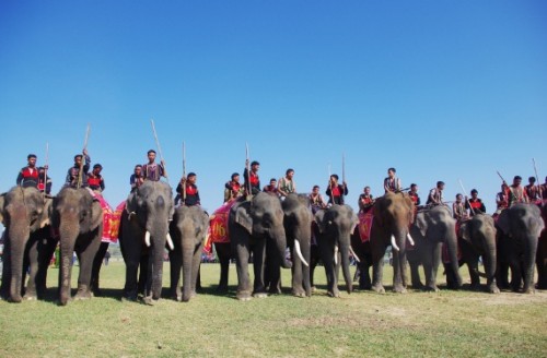 Hào hứng với Lễ hội đua voi