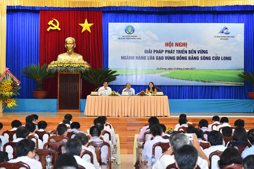 Thủ tướng chủ trì Hội nghị lúa gạo vùng Đồng bằng sông Cửu Long