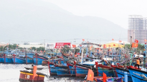 Khi chợ thủy sản thành điểm du lịch
