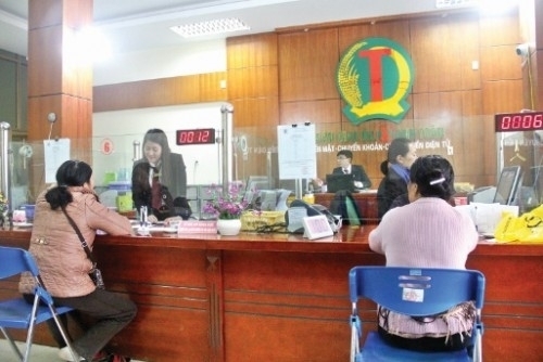 Làm gì để Quỹ tín dụng nhân dân phát huy hiệu quả  Tín dụng nông thôn   Vietnam VietnamPlus