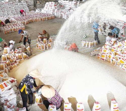Áp lực giảm giá, gạo Việt Nam lận đận
