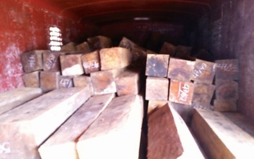 Vận chuyển gỗ lậu bằng đường sắt