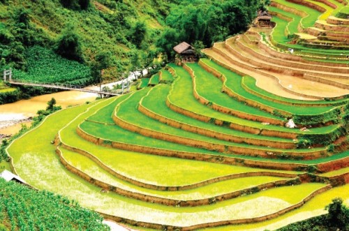 Ngành Ngân hàng tỉnh Yên Bái: Lấy kinh tế nông - lâm làm trọng tâm
