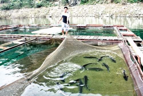 Đánh thức tiềm năng nuôi trồng thủy sản
