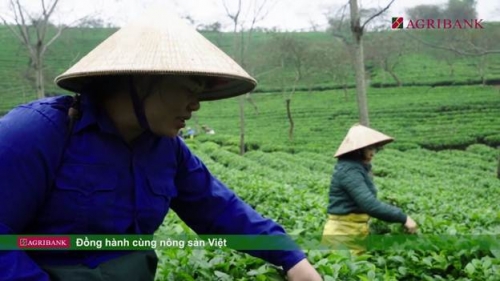 Agribank đồng hành cùng nông sản Việt