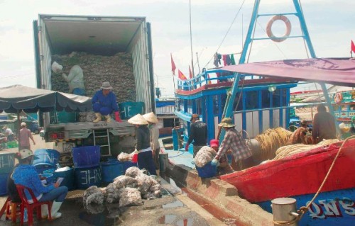 Hỗ trợ ngư dân tiêu thụ hải sản