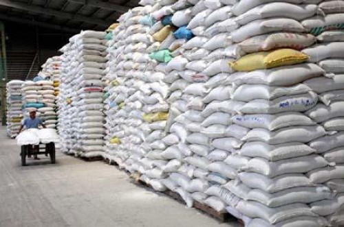 Xuất cấp 800 tấn gạo hỗ trợ 2 tỉnh bị ảnh hưởng do cá chết bất thường