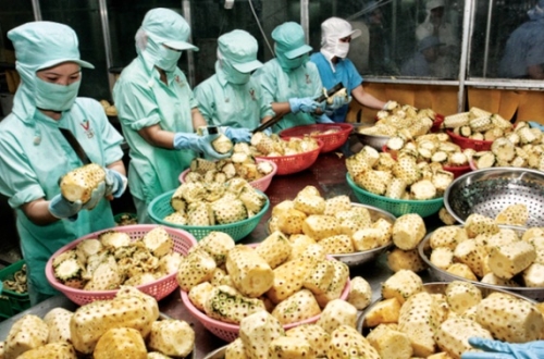 Định vị lại thị trường nông sản Việt Nam