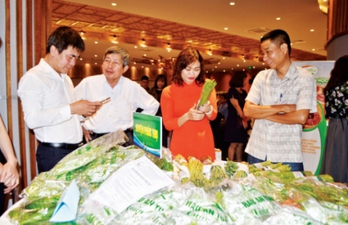 Tiếp sức cho nông sản Việt