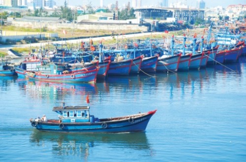 Băn khoăn Âu thuyền Thọ Quang