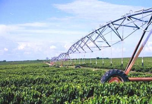 Brazil vươn mạnh ra thị trường nông sản thế giới