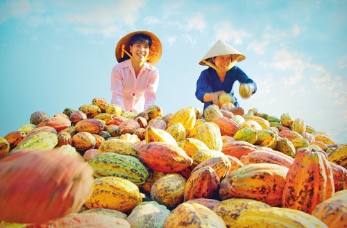 Tiềm lực nâng cao giá trị nông sản Việt