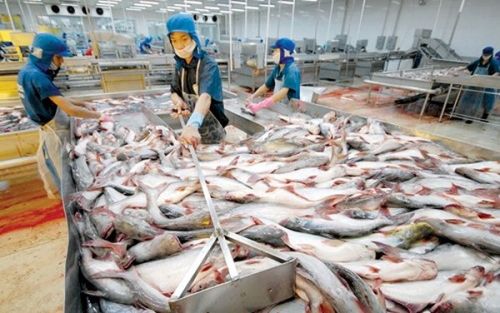 Xuất khẩu “tỷ đô” thủy sản vẫn thiếu