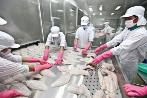 Xuất khẩu thủy sản: Tín hiệu tích cực từ thị trường Trung Quốc