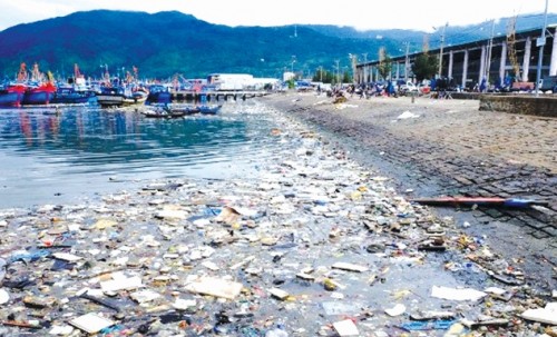 Âu thuyền Thọ Quang lại ô nhiễm