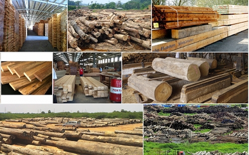 Doanh nghiệp ngành gỗ hướng tới phát triển bền vững
