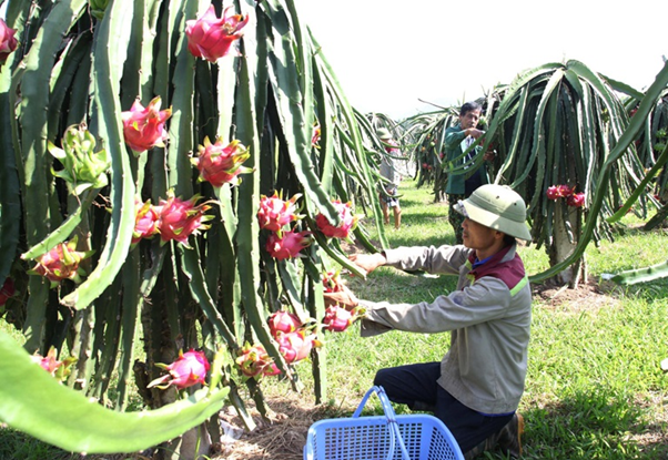 vinh phuc nhung gi co loi cho nguoi dan cho doanh nghiep thi lam