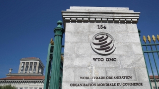 WTO: Thuế quan của Mỹ vi phạm quy tắc thương mại quốc tế
