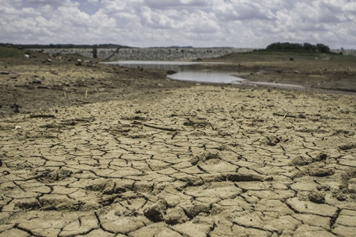 El Nino gây thiệt hại lớn cho nông nghiệp