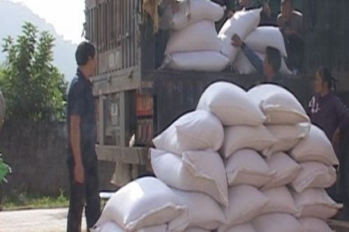 Hỗ trợ 72 tấn gạo cho tỉnh Sơn La