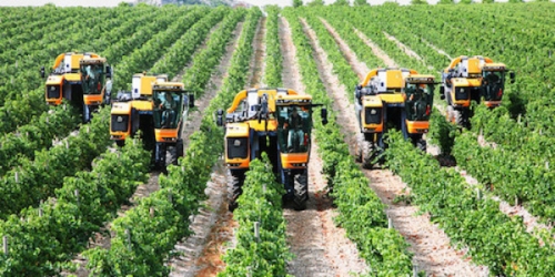 Quy hoạch sản xuất nông nghiệp công nghệ cao