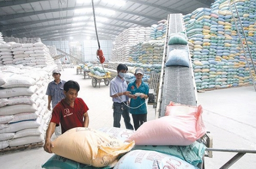 Hướng đi mới cho DN xuất khẩu gạo