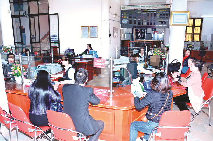 Agribank chi nhánh Lào Cai II: Đảm bảo thanh toán thông suốt cho hàng hóa vùng biên