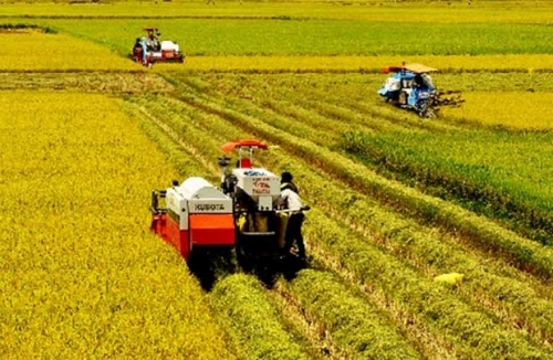 Tái cơ cấu nông nghiệp: Chuyển biến tích cực và căn bản