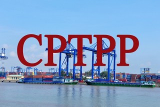 Ngành phân phối - điện tử - logistics: Không lo ngại tác động của CPTPP