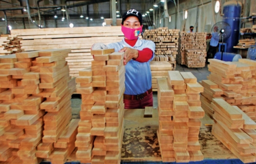 Doanh nghiệp gỗ Việt chiếm lợi thế ở thị trường Mỹ