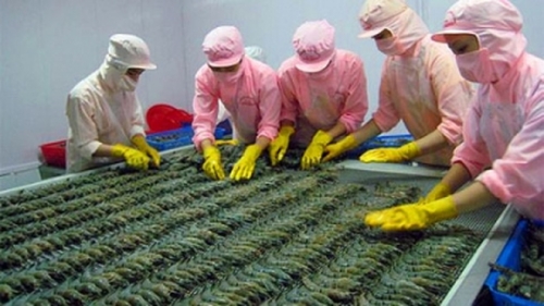 Lệnh cấm nhập khẩu tôm: Việt Nam yêu cầu Úc xem xét lại