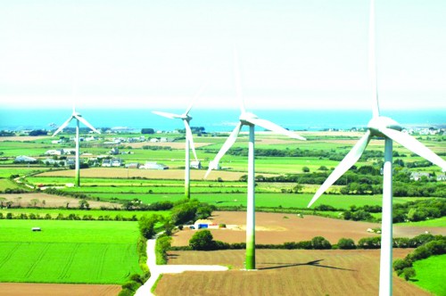 Điện gió chùn bước đầu tư