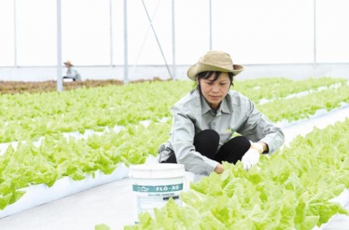 Hỗ trợ phát triển nông nghiệp sạch­ ở Quảng Trị