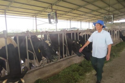 Gỡ khó cho nông nghiệp Hà Nam