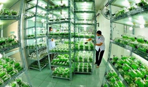 Nan giải lực hút vốn nông nghiệp công nghệ cao
