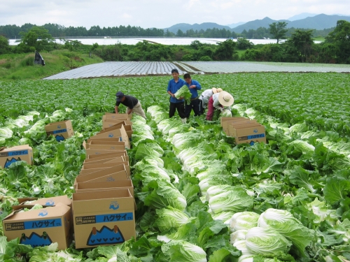 Công nghiệp thực phẩm: Đầu tư vào Việt Nam để vươn ra toàn cầu