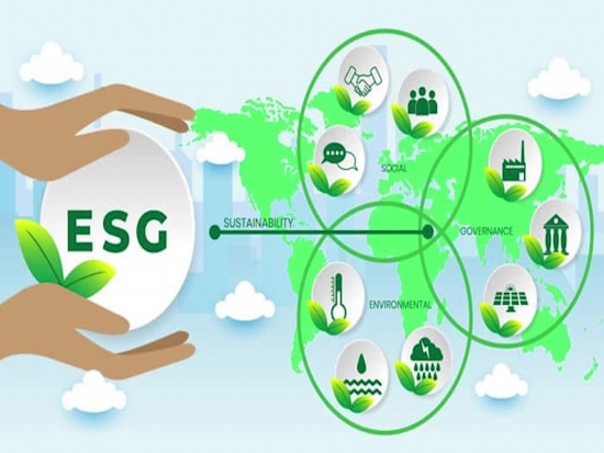 Thực thi ESG trong ngành Ngân hàng: Thước đo về sự phát triển bền vững