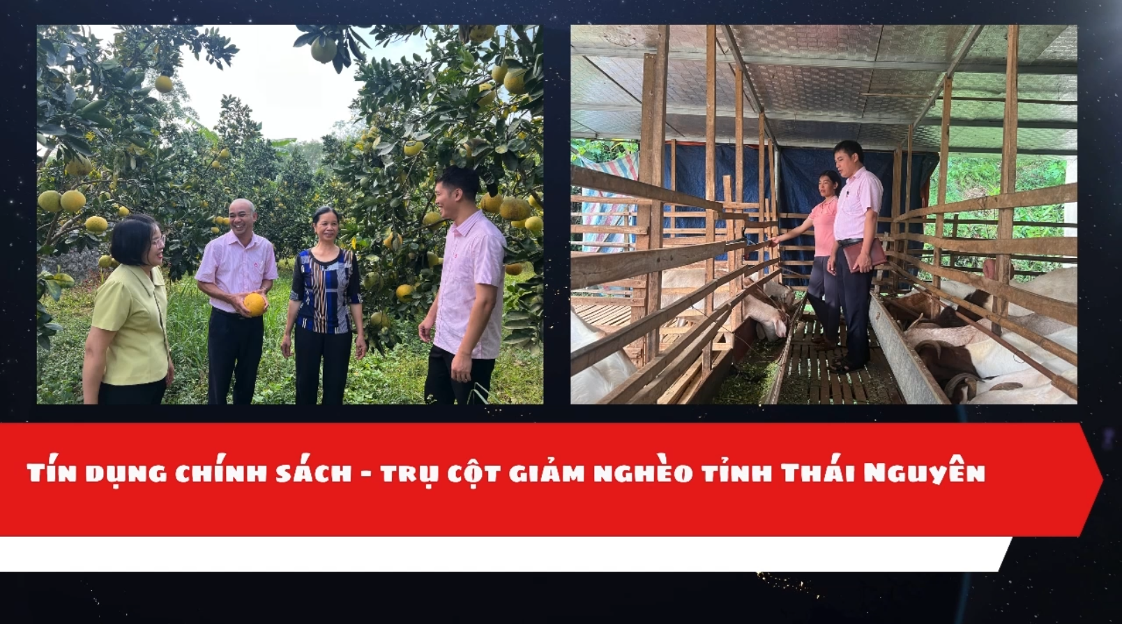 Tín dụng chính sách - trụ cột giảm nghèo tỉnh Thái Nguyên